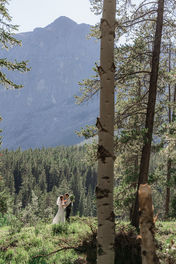 Bride and Groom in forest