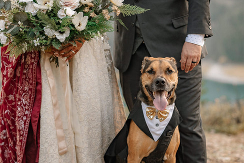 Bride and groom posing with their dog wearing a tuxedo beside a white floral arrangement during their Kananaskis mountain elopement.