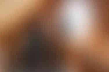 A woman helping the groom with his suit while getting ready at a Coutts Centre wedding.