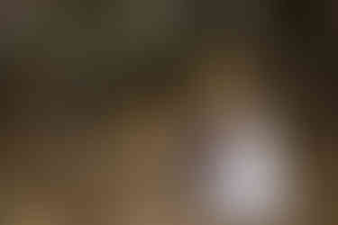 bride and groom walk in forest and hold hands