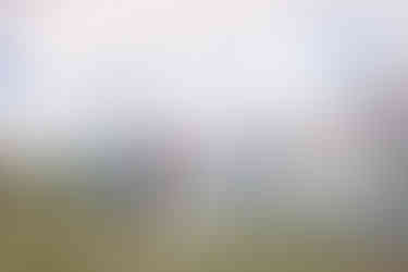 bride and groom photos in canmore