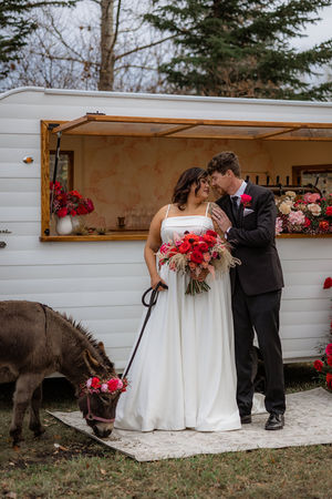 bride and groom wedding photos with a donkey
