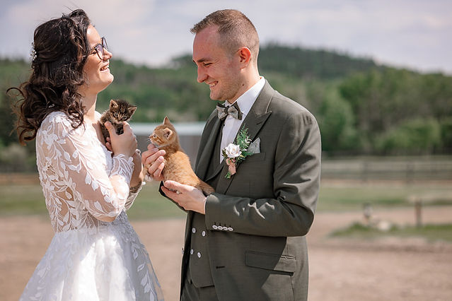 bride and groom holding kittens on their wedding day 