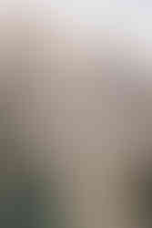 The bride and groom standing together looking out at the peaks with the mountains at the Moraine wedding