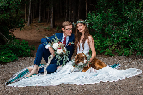Bride and groom sitting in front of the trees with her dress spread out and their dog is beside her lap.