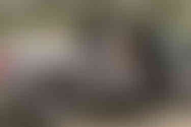 Bride with laces untie stepping out of a pickup truck in Elk Valley on their Crowsnest Pass wedding day