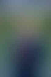 Groom standing alone in front of the water in Kananaskis.