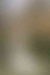 Bride in a fitted wedding gown holding a colourful bouquet in the garden at The Sensory Canmore, with a hint of mountains softly blurred in the far background.