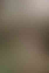 A bride and groom kissing in a wooded setting during a Fernie wedding on their Crowsnest Pass wedding day