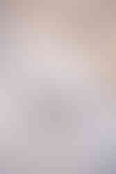 wedding napkins with puppies