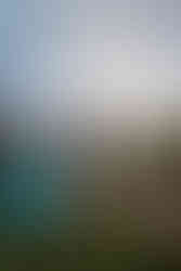 Bride and groom kissing under an umbrella on a big rock overlooking Moraine Lake.