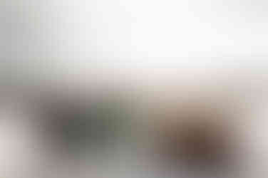 Landscape bridal party portrait