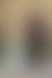 Groom helping the bride step onto a wooden dock beside a calm lake on their Crowsnest Pass wedding day