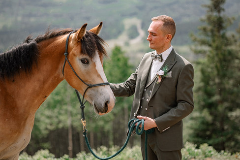 grooms photos with horse