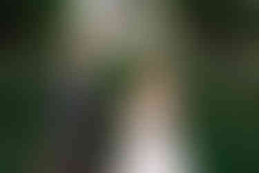 Bride and groom standing hand in hand beneath a tree-lined path, smiling at each other as the bride holds her colourful bouquet at one of the romantic Southern Alberta Wedding Venues.
