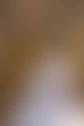 bride in fall sunset under wedding arch