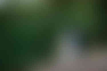 Bride and groom posing in front of the water in Kananaskis. Bride is looking back at the groom as they walk away.