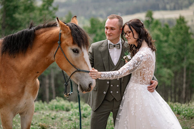 bride and groom photos with horse