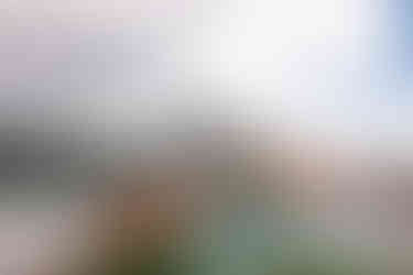 A close-up of a couple’s hands reaching toward each other, framed by soft mountain peaks, tranquil water, and grass in the background, capturing a tender and intimate moment at Emerald Lake