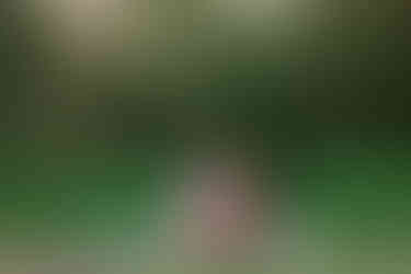 Couple share a kiss on the picnic blanket out in a grassy area