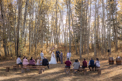 bride and groom with guests in the forest, forest ceremony