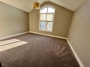 Clean carpets in home