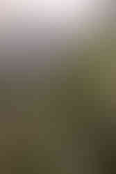 couple walking in Canmore surrounded by mountains