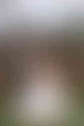 The bride and groom share a quiet moment in front of the woodpile at Diamond in the Rough, the groom gazing loveingly at his bride as she sits holding her bouquet