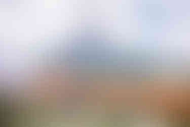 Bride and groom reaching for each other's hands with Southern Alberta mountain scenery. on their Crowsnest Pass wedding day
