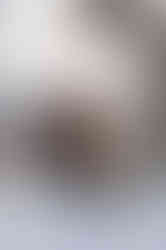 Bride ange groom hugging eachother while looking at the camera