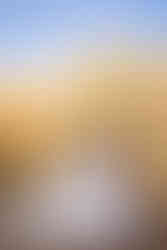 bride stands infront of fall trees while holding fall bouquet