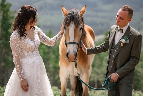bride and groom photos with horse in woods