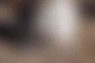 bride and groom converse shoes