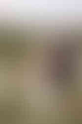 Bride and groom holding hands while walking beside a river during an outdoor ceremony on their Crowsnest Pass wedding day