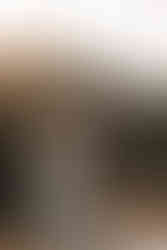 Couple standing on paddleboards on a calm mountain lake on their Crowsnest Pass wedding day