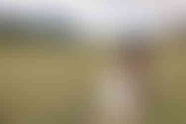 Groom dipping the bride in a grassy field with mountain views on their Crowsnest Pass wedding day