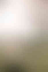 the bride and groom run hand and hand through a sunlit feild at Diamonds in the Rough, the brides gown glowing and the groom has his leg in the air