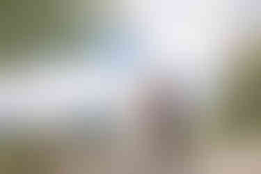 Southern Alberta Wedding Photography of a bride and groom walking together with mountain views on their Crowsnest Pass wedding day