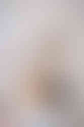 wedding cake topper with puppies