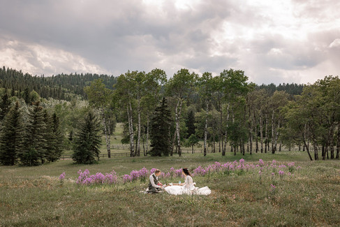 Bride and groom having a picnic in a field of purple flowers