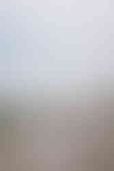 Bride and groom road photo