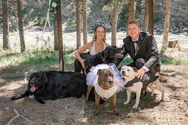 Bride and groom sitting with their dogs during their outdoor ceremony captured by a Cochrane wedding photographer.