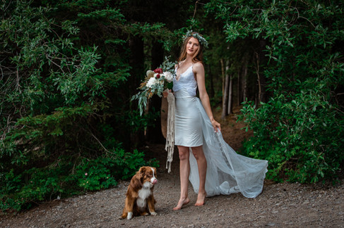 Bride posing in front of the trees with her dog.