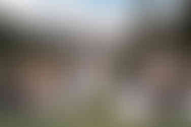 Guests cheer as the newlyweds walk back up the aisle during an intimate outdoor ceremony at a Kananaskis wedding