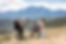 The-Crossing-At-Ghost-River-Wedding(AK)-2111.jpg