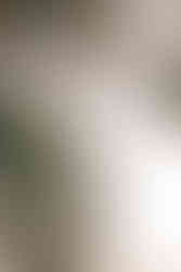 Vancouver cherry blossoms