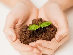 Tout part de la graine