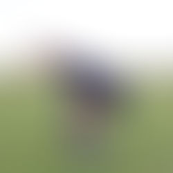 THE START IS EVERYTHING