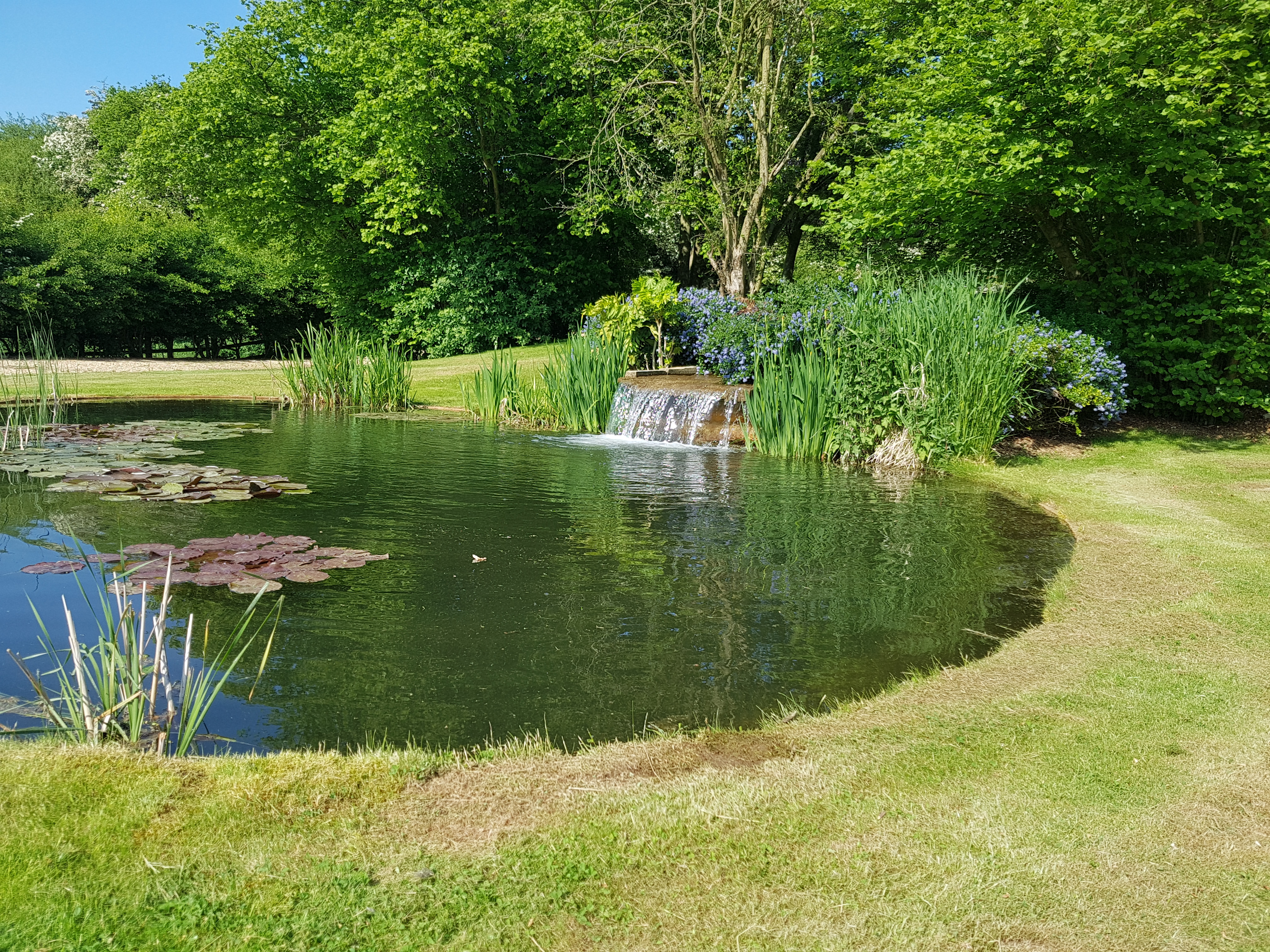 Natural swimming pool