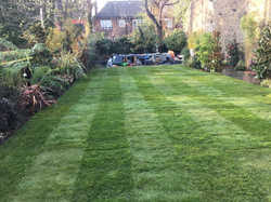 Reinforced sloped lawn